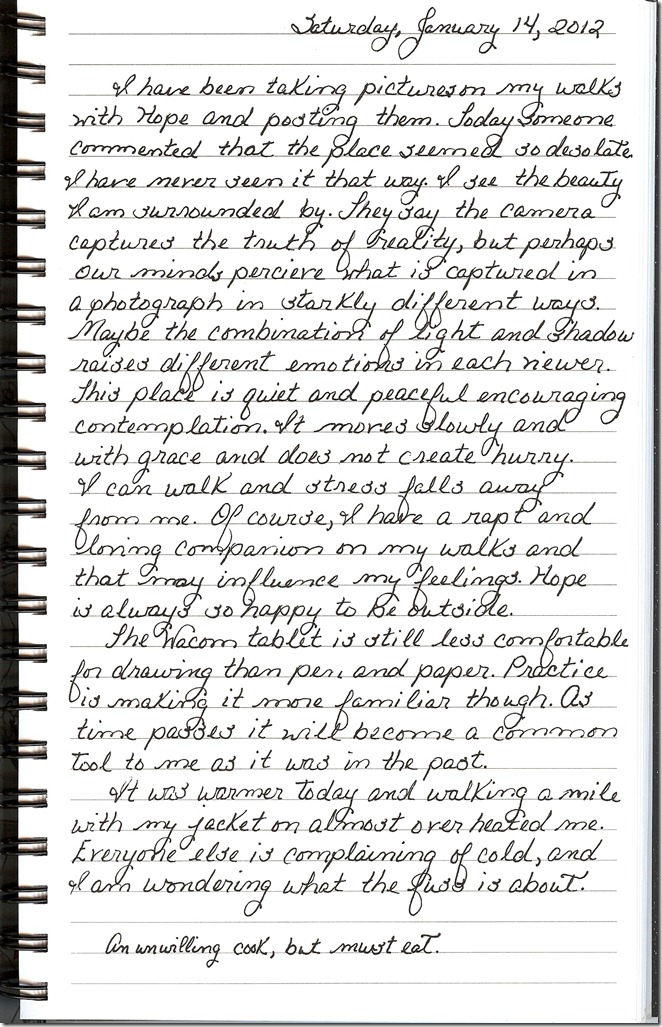Journal 1-14-20120001