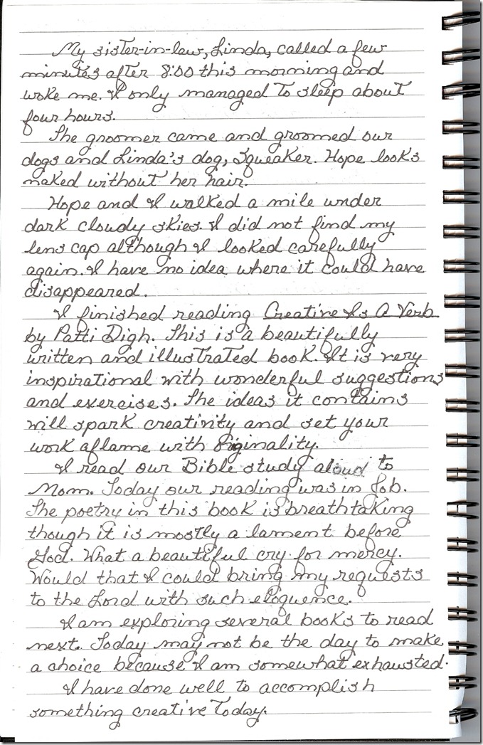 Journal 1-25-20120002