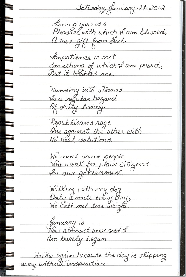 Journal 1-28-20120001