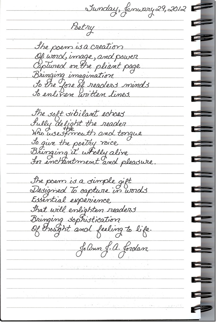 Journal 1-29-20120001