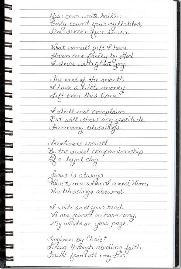Journal 1-31-20120002
