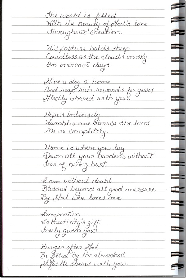 Journal 1-31-20120003
