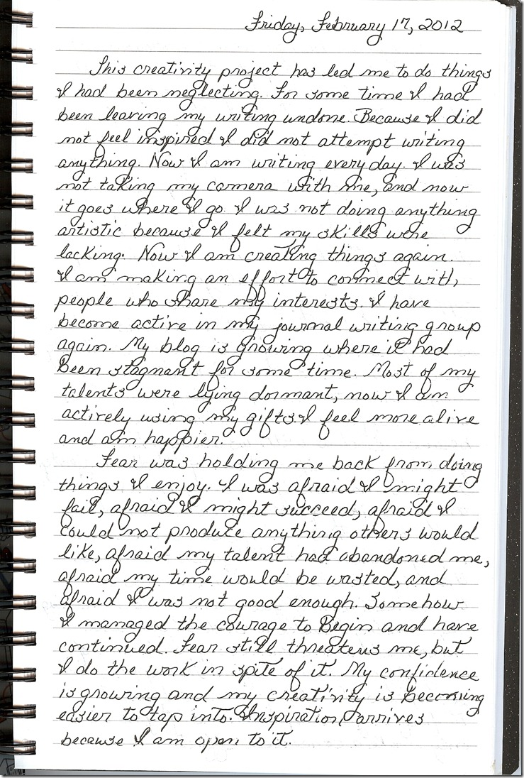 Journal 2-17-20120001