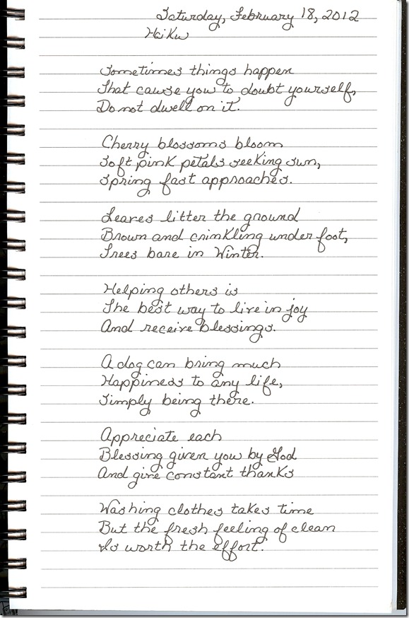 Journal 2-18-20120001