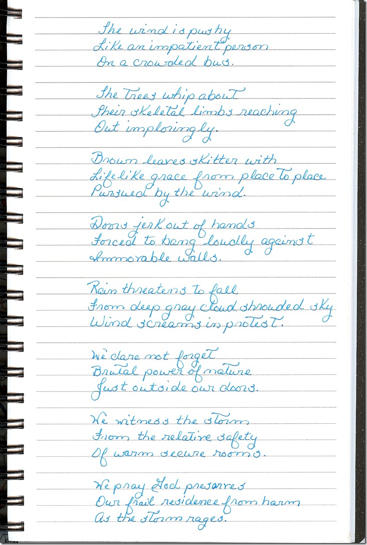 Journal 2-24-20120002
