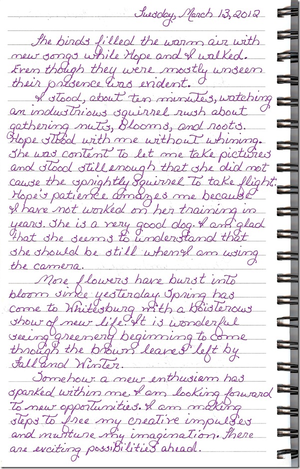 Journal 3-13-20120001