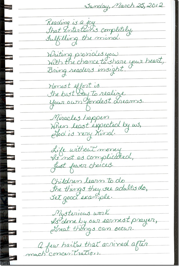 Journal 3-25-20120001