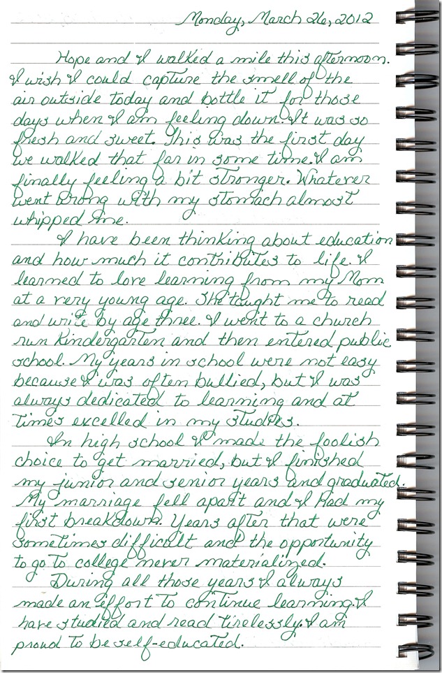 Journal 3-26-20120001