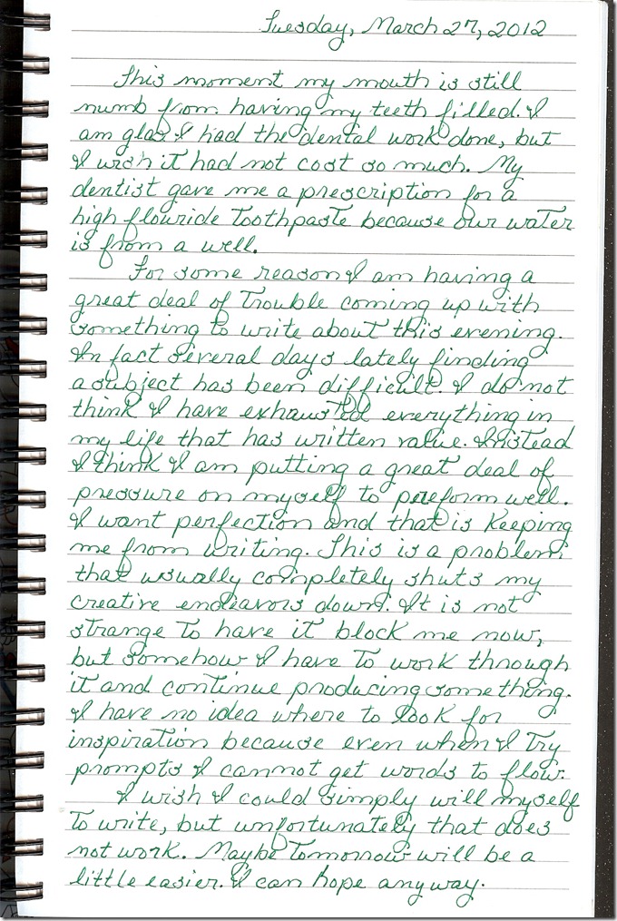 Journal 3-27-20120001