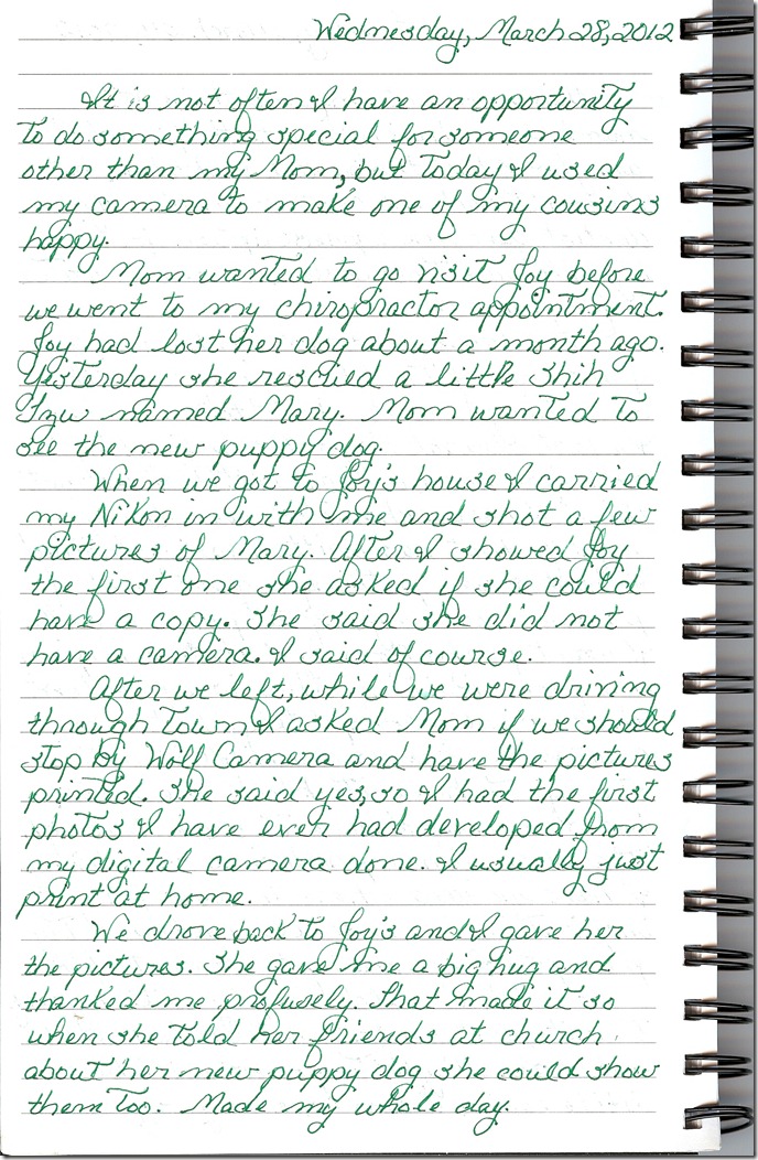 Journal 3-28-20120001