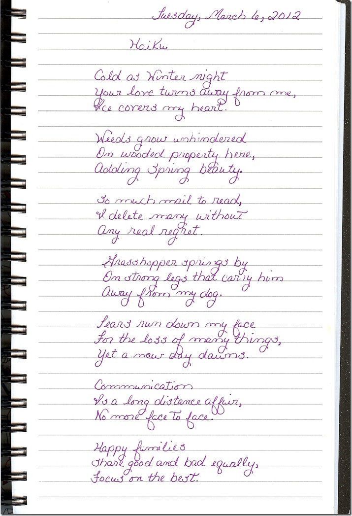 Journal 3-6-20120001