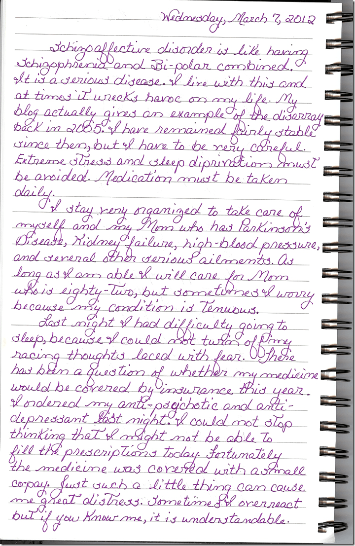 Journal 3-7-20120001