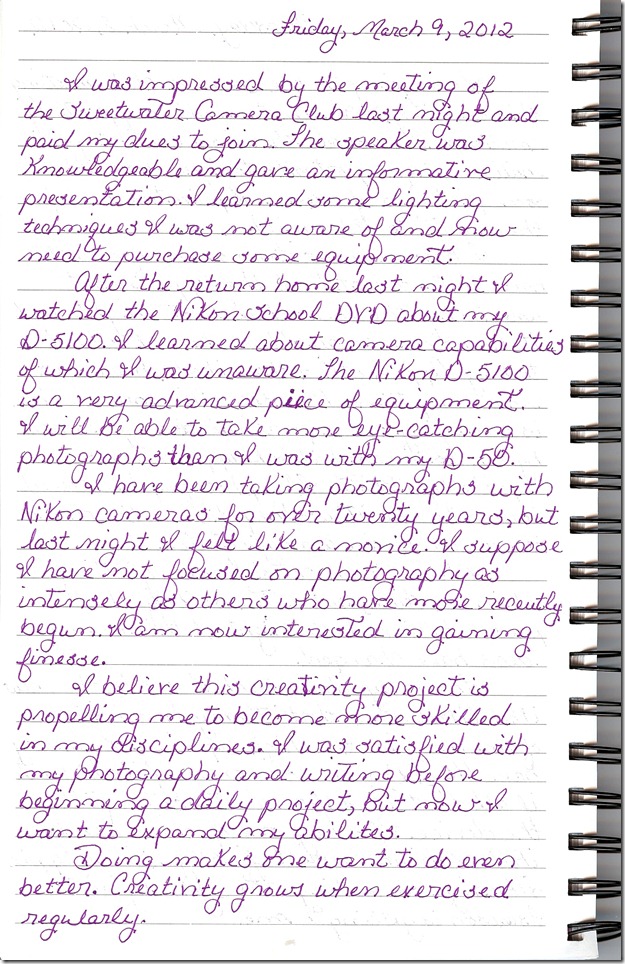 Journal 3-9-20120001