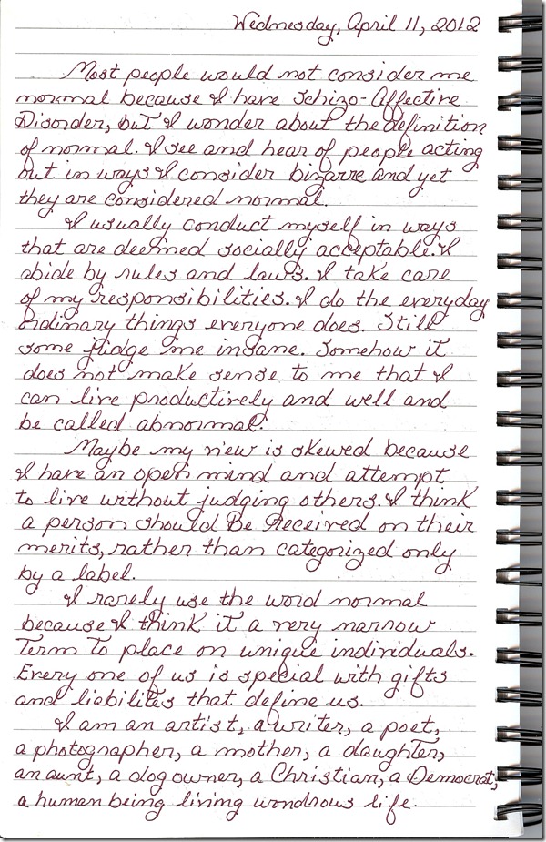Journal 4-11-20120001