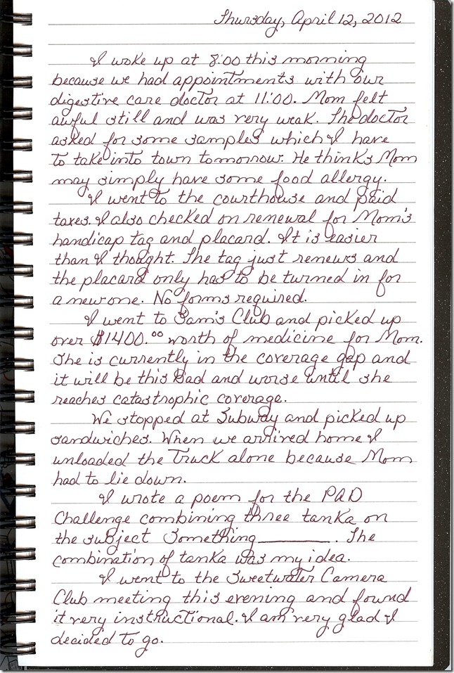 Journal 4-12-20120001