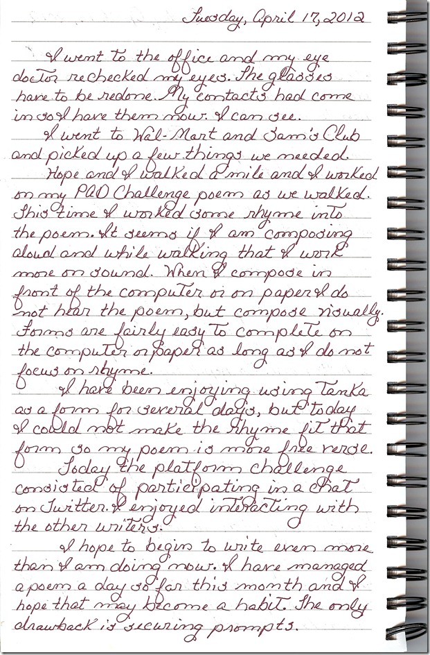 Journal 4-17-20120001