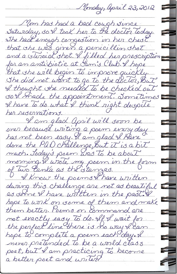 Journal 4-23-20120001
