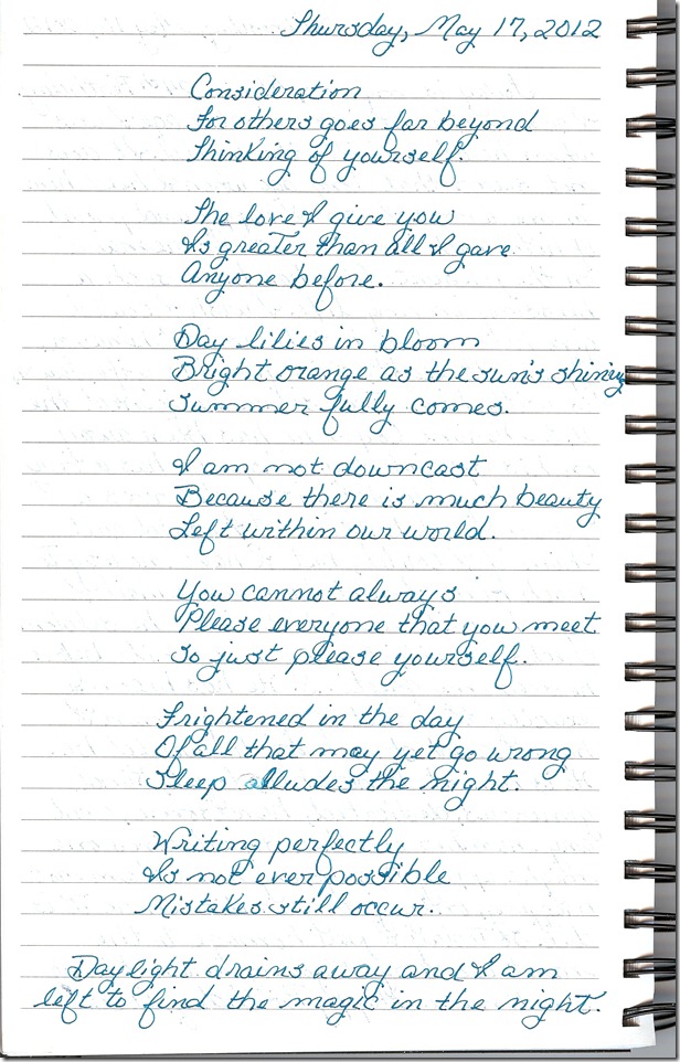 Journal 5-17-20120001