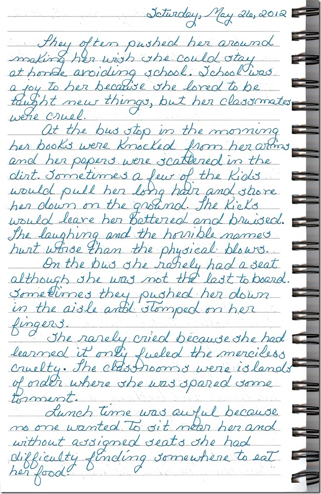 Journal 5-26-20120001