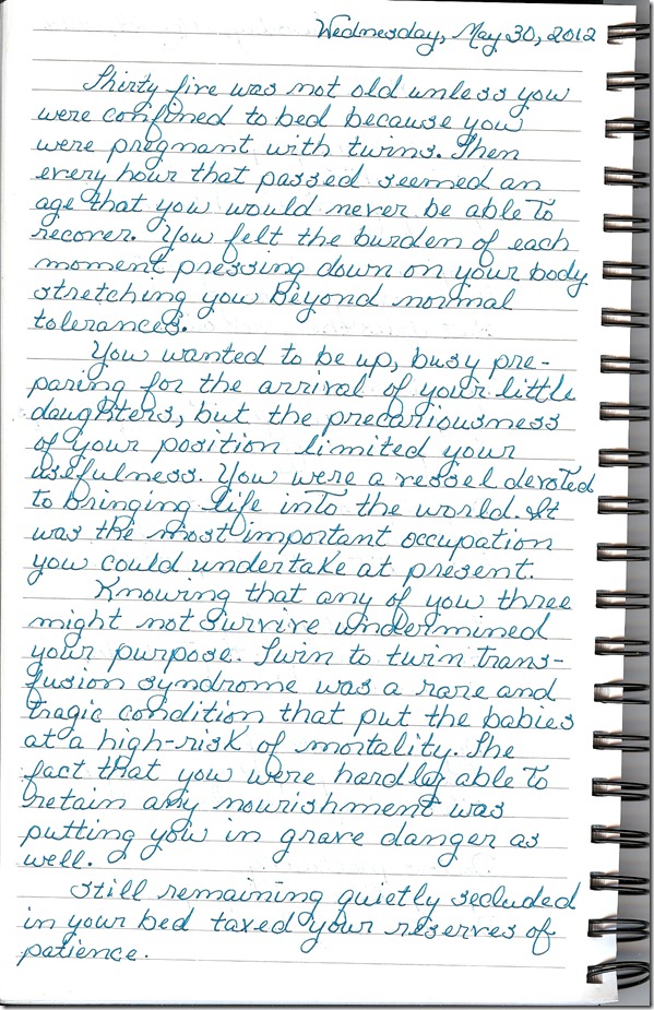 Journal 5-30-20120001