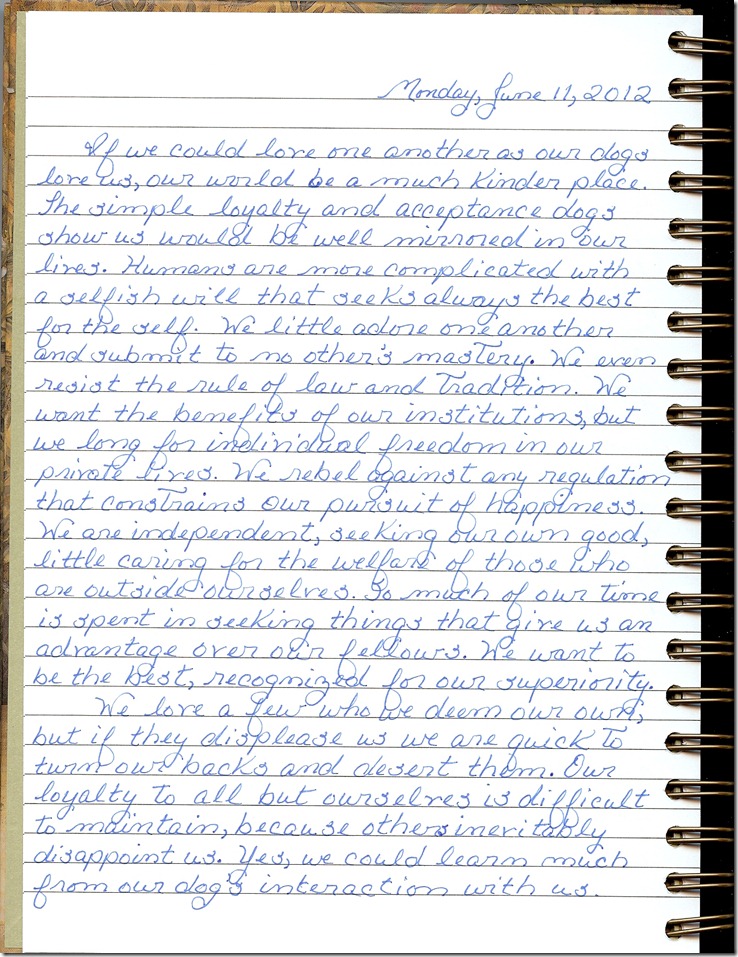 Journal 6-11-20120001