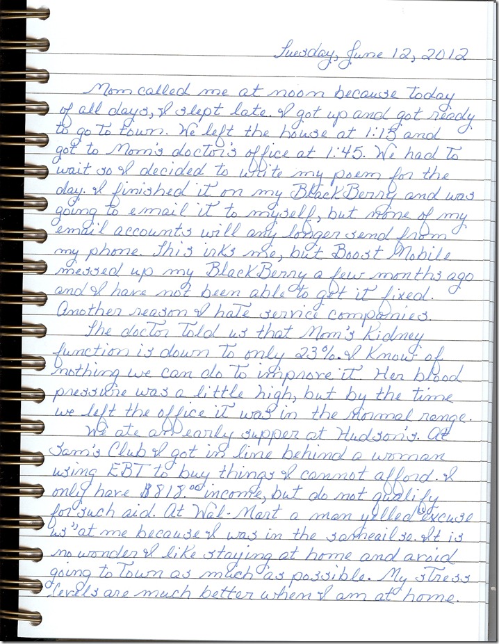 Journal 6-12-20120001
