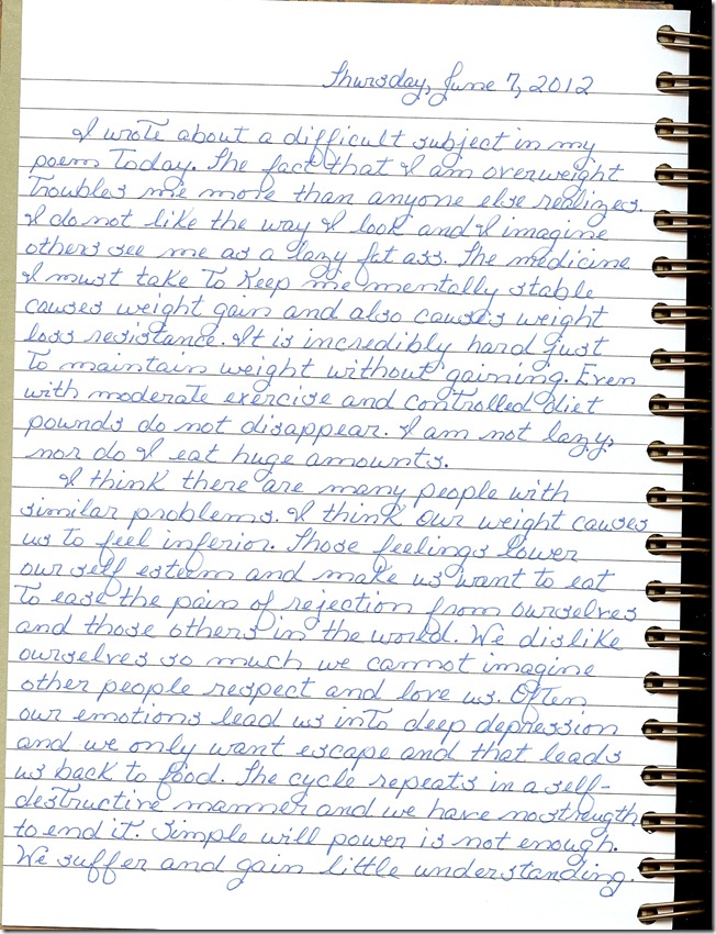 Journal 6-7-20120001