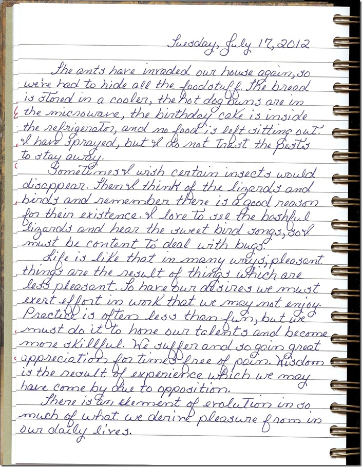 Journal 7-17-20120001