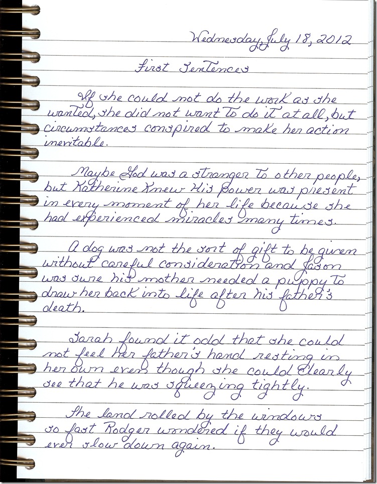 Journal 7-18-20120001