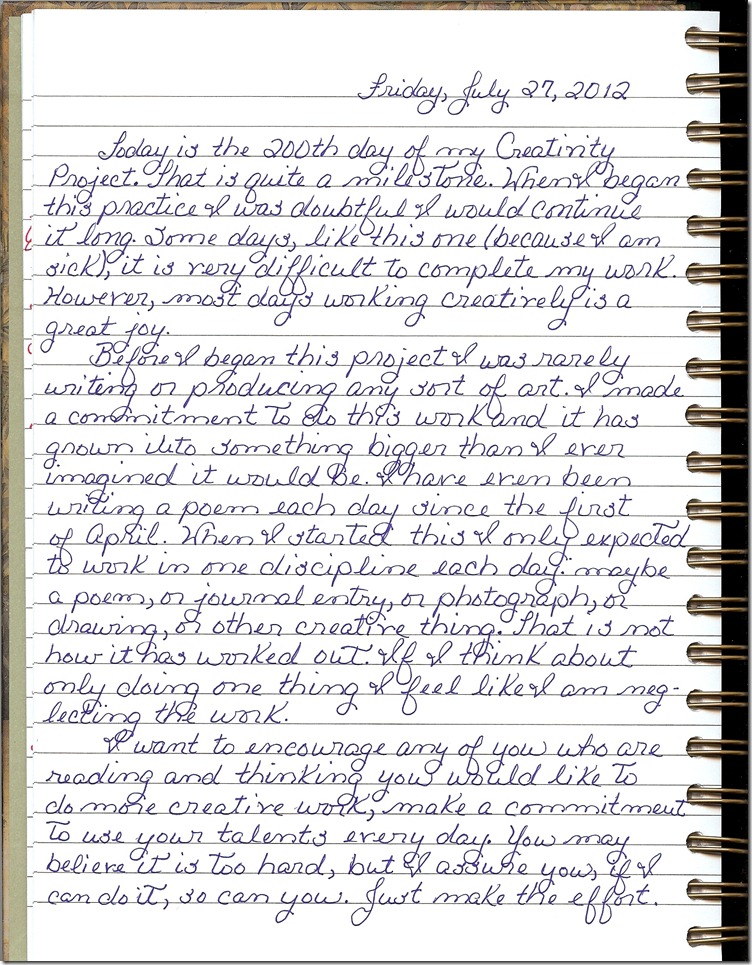 Journal 7-27-20120001