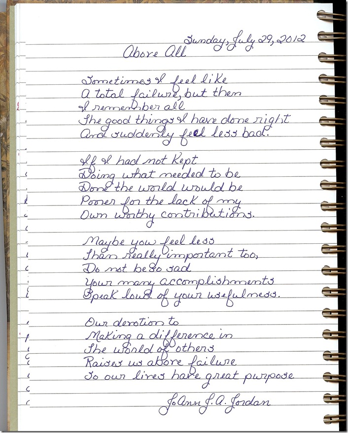 Journal 7-29-20120001