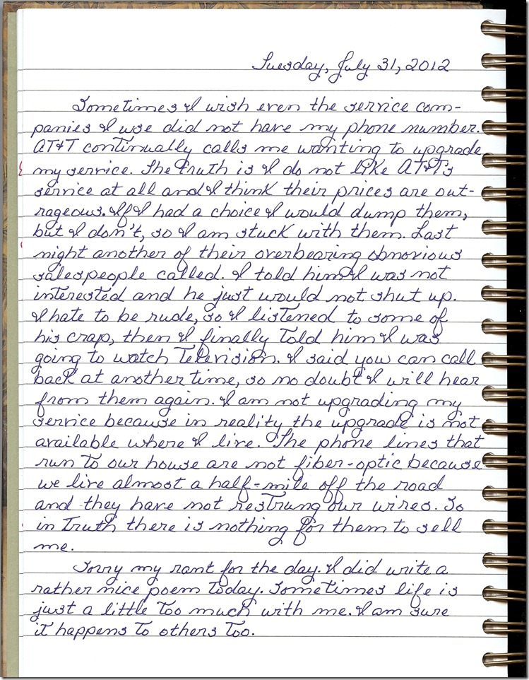 Journal 7-31-20120001