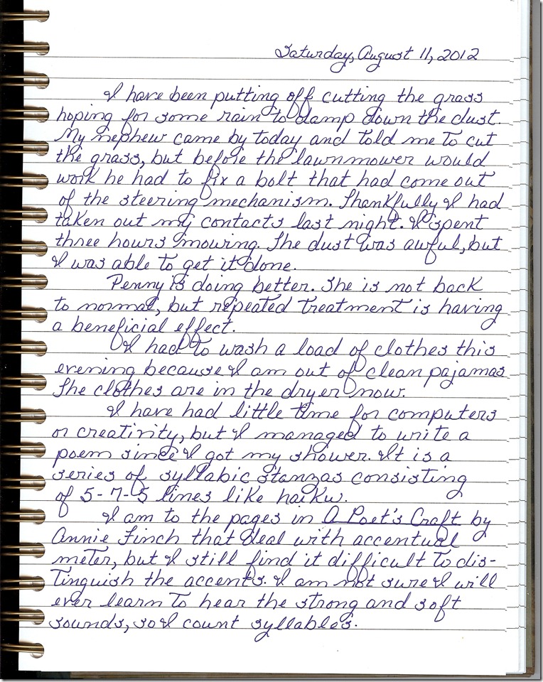 Journal 8-11-20120001