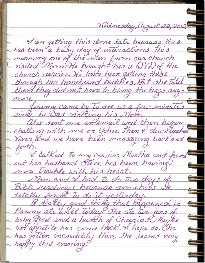 Journal 8-22-20120001