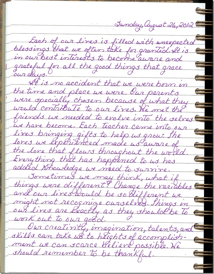 Journal 8-26-20120001