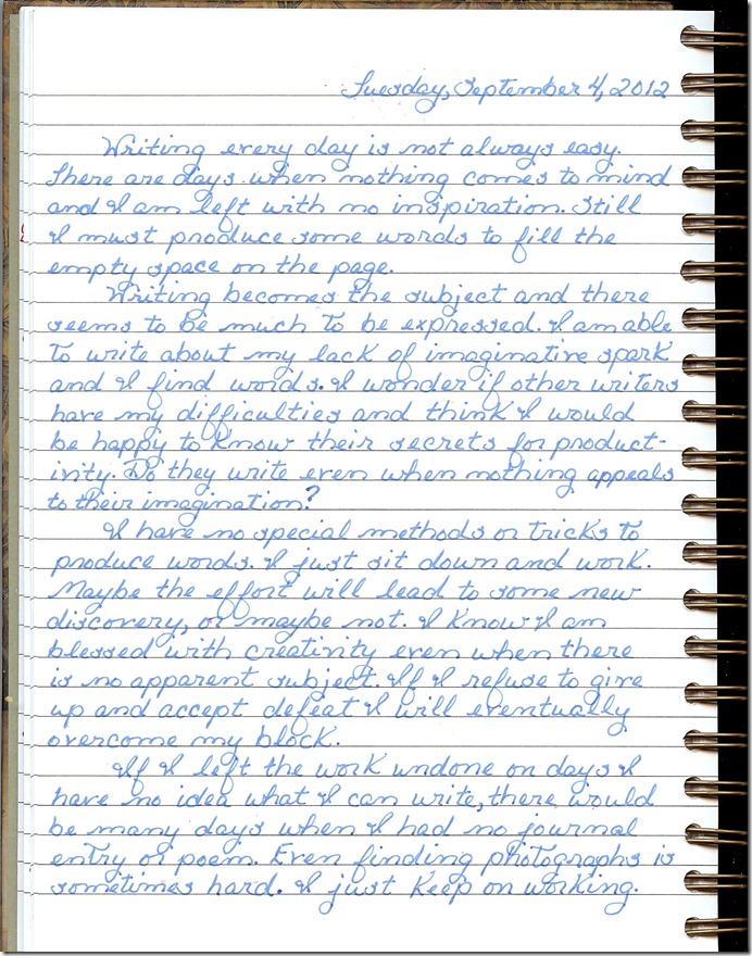 Journal 9-4-20120001