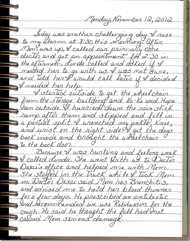 Journal 11-12-20120001