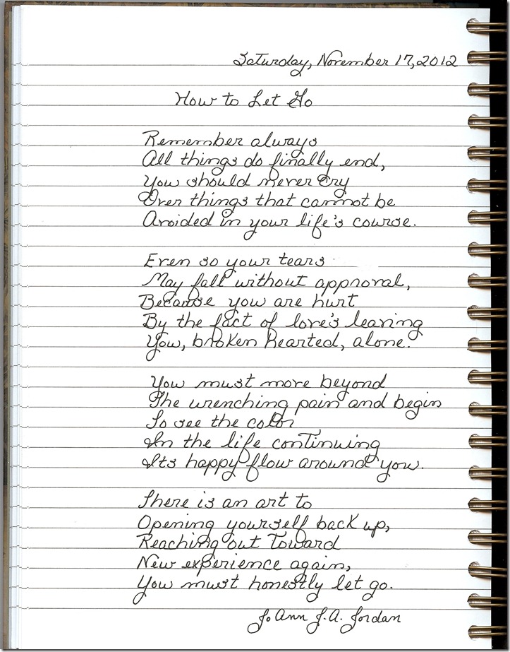 Journal 11-17-20120001