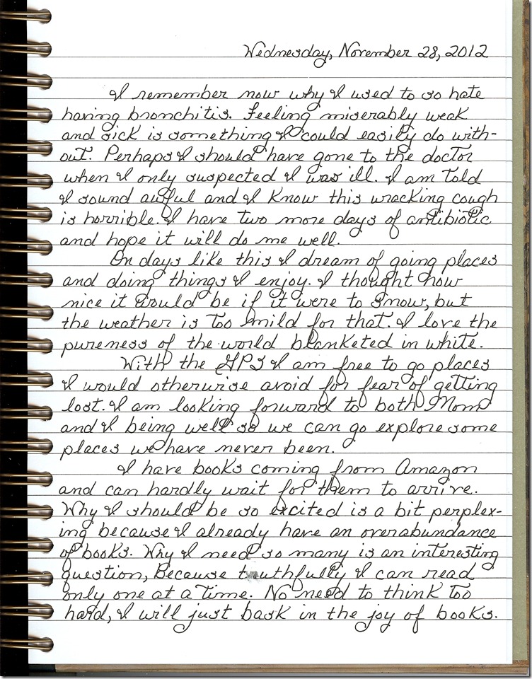 Journal 11-28-20120001