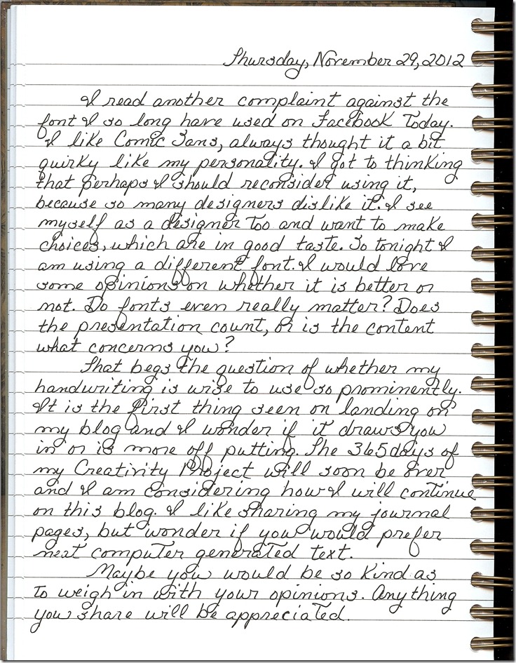 Journal 11-29-20120001