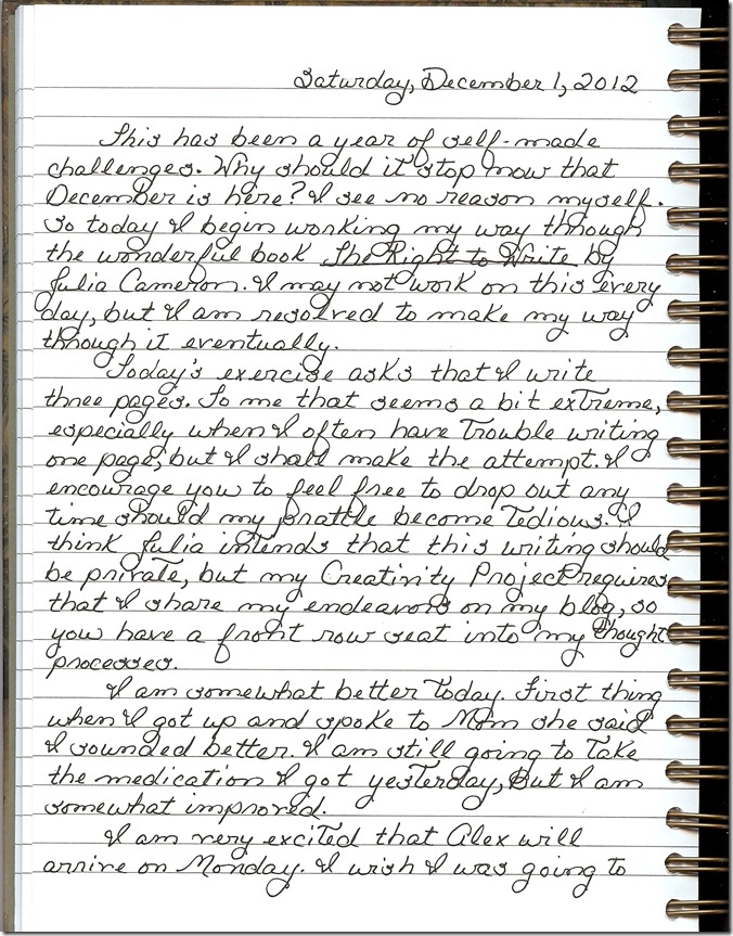 Journal 12-1-20120001