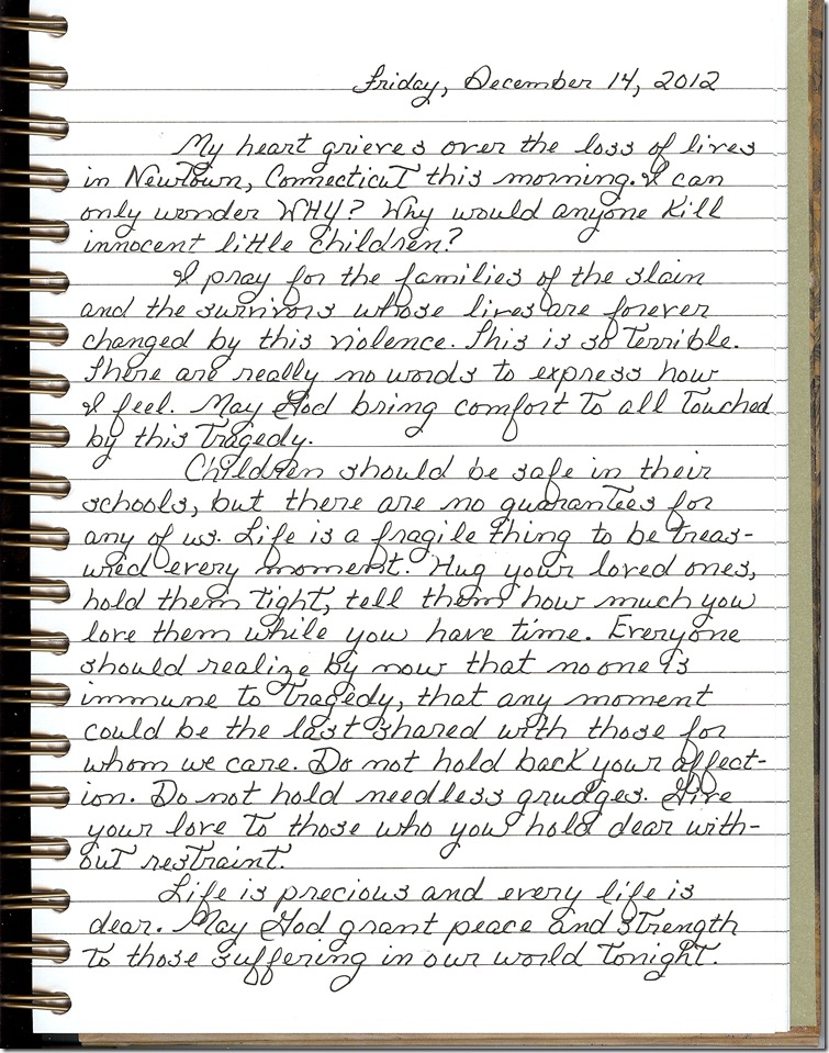 Journal 12-14-20120001
