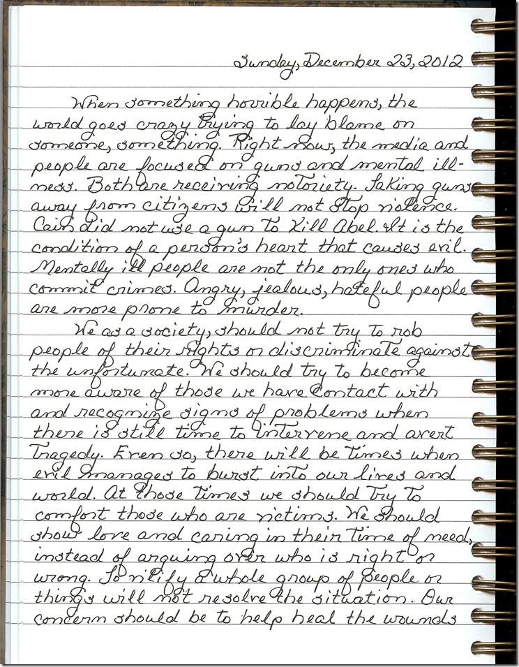 Journal 12-23-20120001