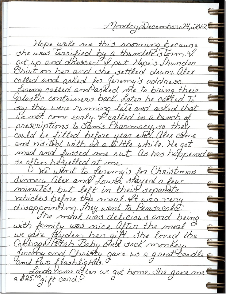 Journal 12-24-20120001