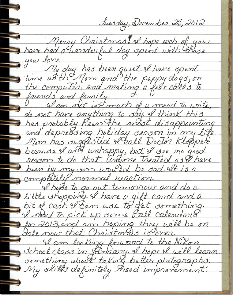 Journal 12-25-20120001