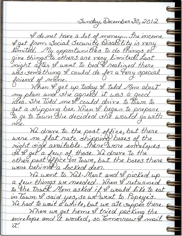 Journal 12-30-20120001