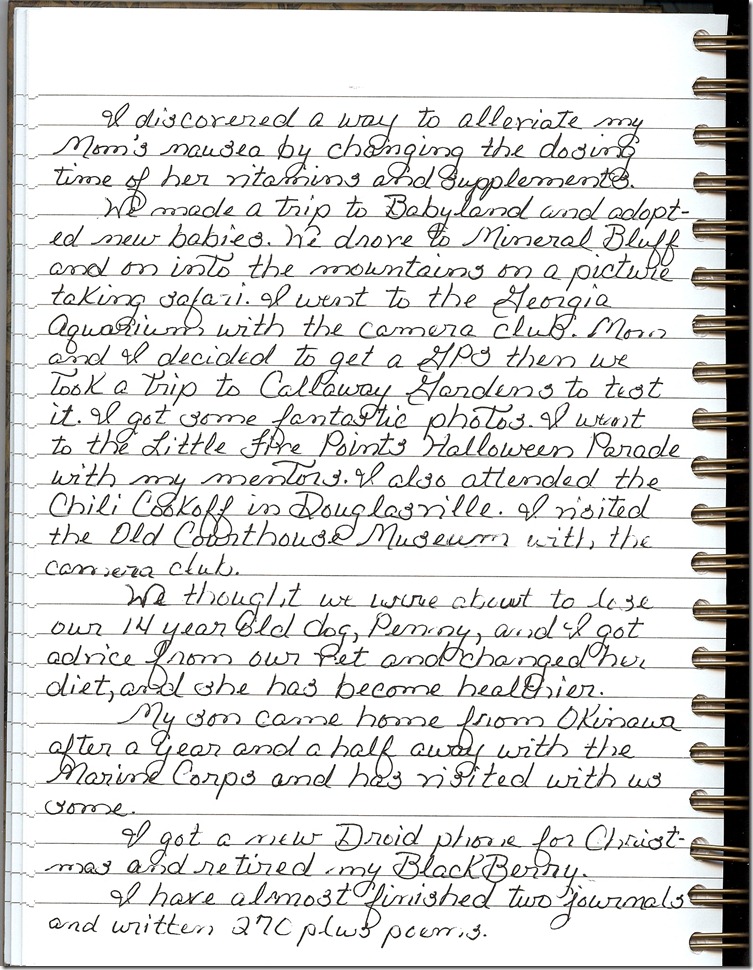 Journal 12-31-20120002