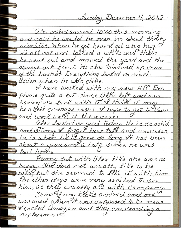Journal 12-4-20120001