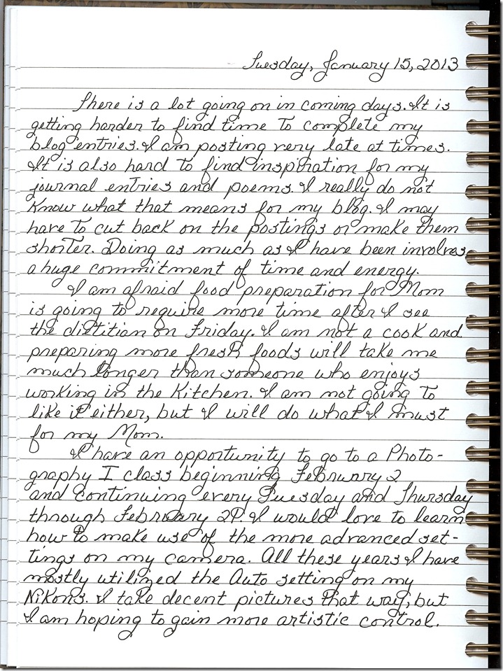 Journal 1-15-20130001
