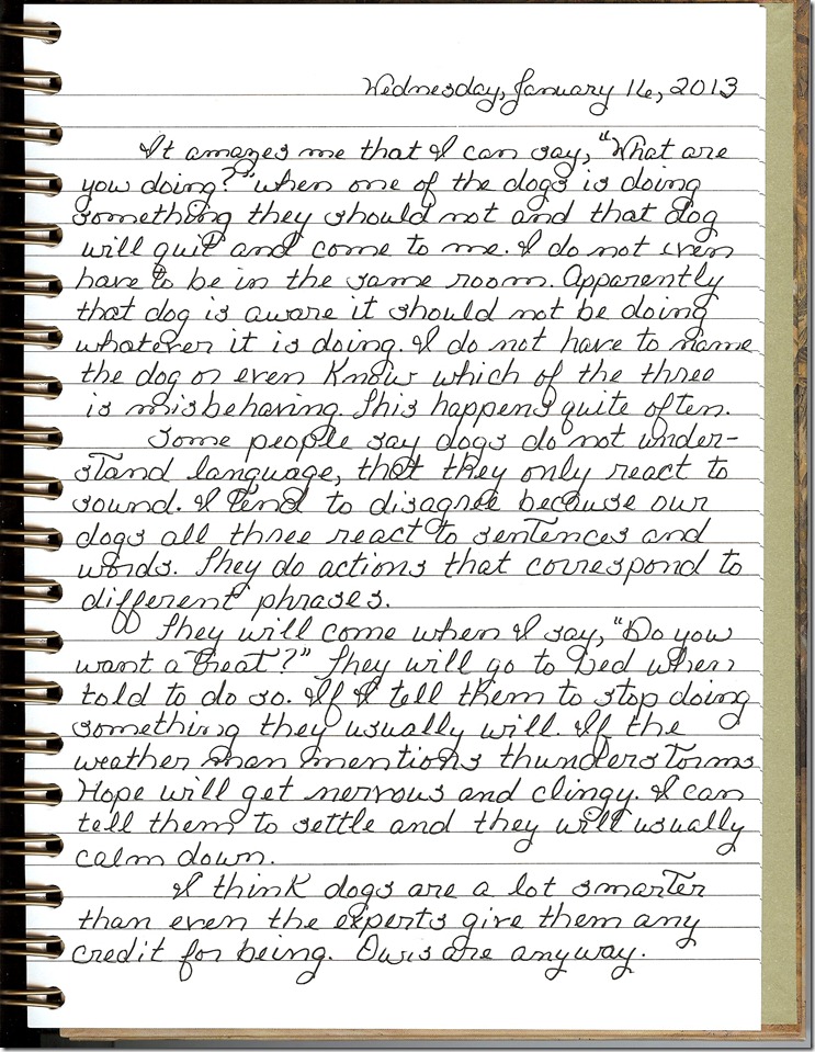 Journal 1-16-20130001